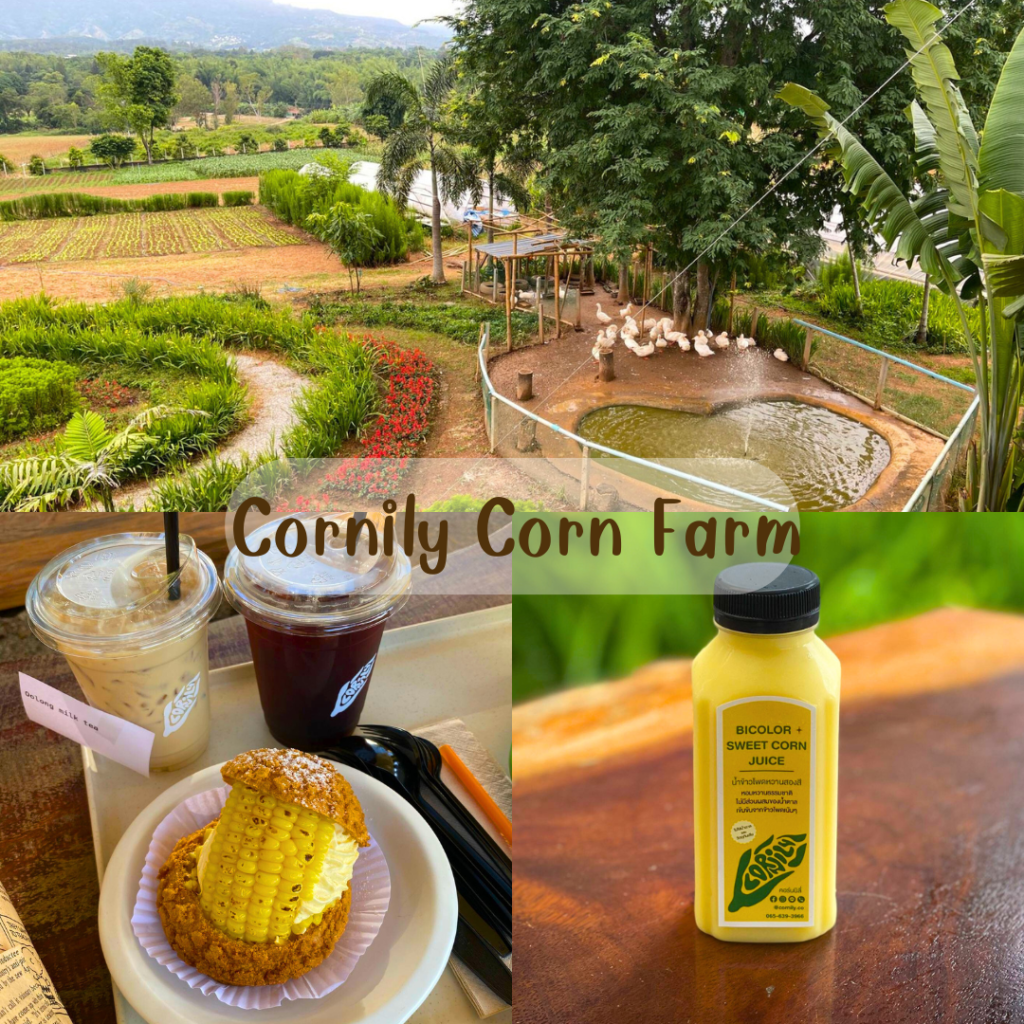 Cornily Corn Farm