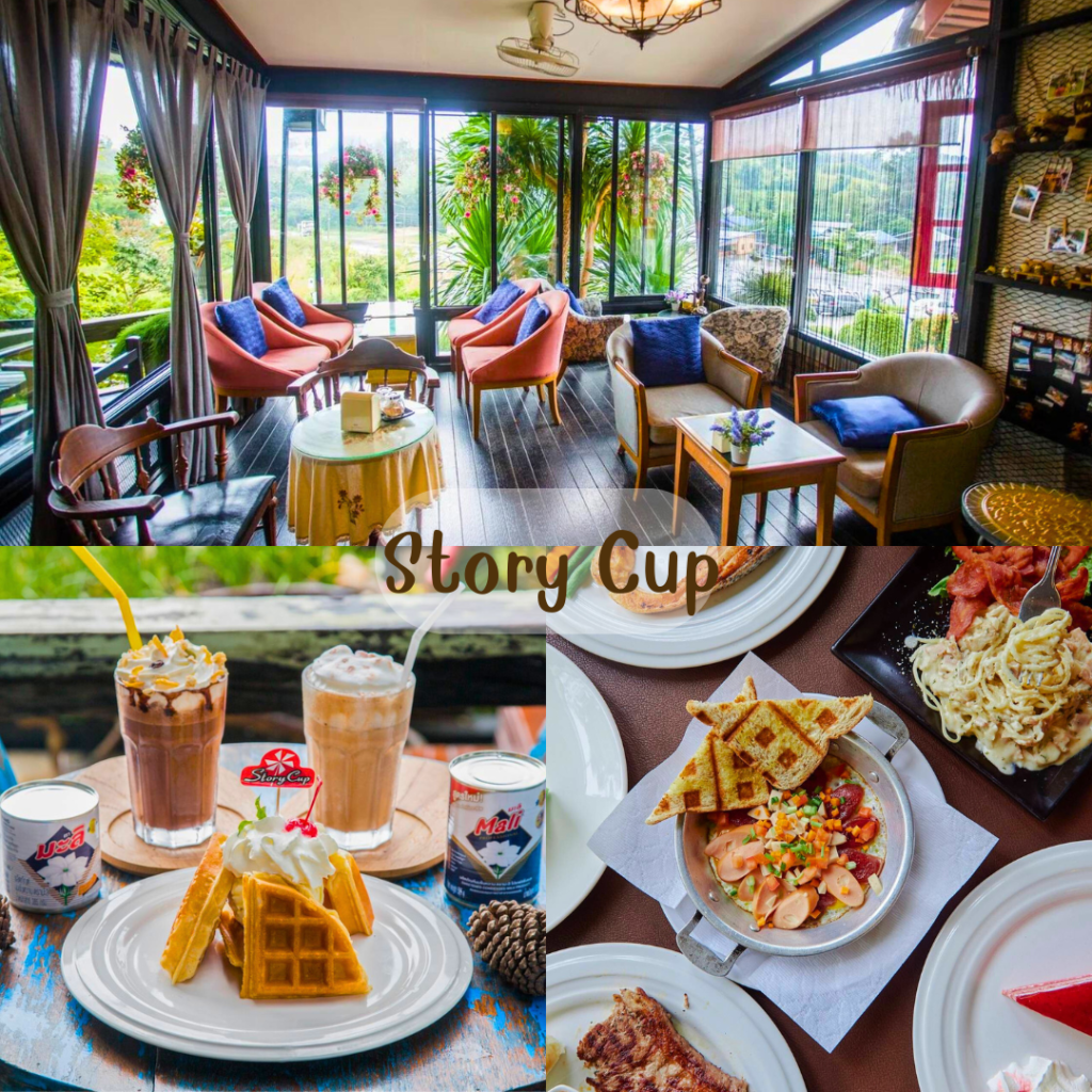 Story Cup